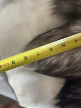 Load image into Gallery viewer, Assorted Short Fox Tail Keychains