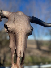 Load image into Gallery viewer, Dusty Rose Sparkle Custom Cowskull