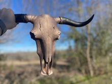 Load image into Gallery viewer, Dusty Rose Sparkle Custom Cowskull