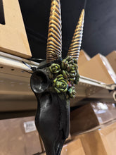 Load image into Gallery viewer, Black Floral Succulent Skull