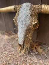 Load image into Gallery viewer, Diana Gold Custom Cowskull - message to order