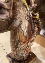 Load image into Gallery viewer, Driftwood Horse Head Statue