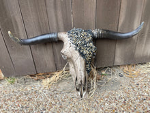 Load image into Gallery viewer, The Tonight Skull - message to order