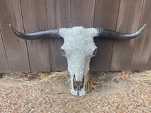 Load image into Gallery viewer, Full Stone Solid Color Cowskull - Message to order