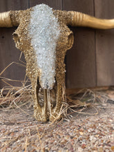 Load image into Gallery viewer, Diana Gold Custom Cowskull - message to order