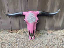 Load image into Gallery viewer, Abba Cowskull