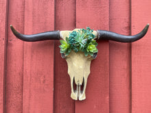 Load image into Gallery viewer, Te Fiti Cowskull - Message to order