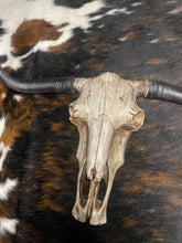 Load image into Gallery viewer, Driftwood Cowskull