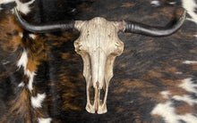 Load image into Gallery viewer, Driftwood Cowskull