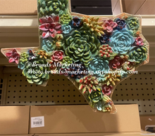 Load image into Gallery viewer, Texas Succulent Cactus Wall Decor