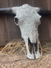 Load image into Gallery viewer, Full Stone Solid Color Cowskull - Message to order