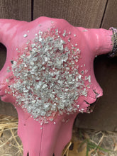 Load image into Gallery viewer, Abba Cowskull