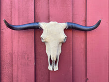 Load image into Gallery viewer, Sandy Cowskull
