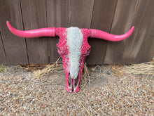 Load image into Gallery viewer, Barbie Cowskull - message to order