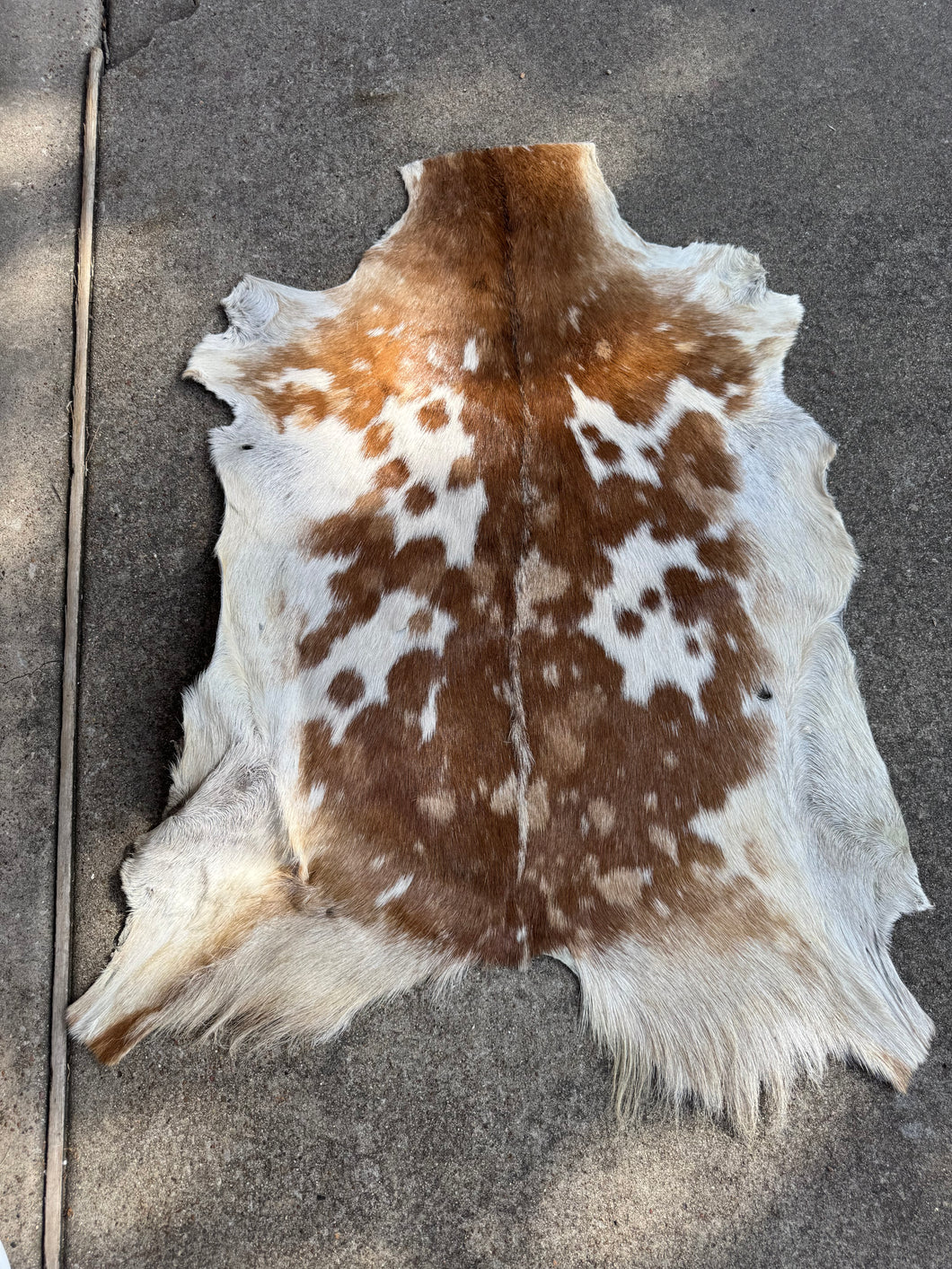 Goat Hides