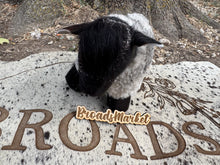 Load image into Gallery viewer, Cowhide Farm Pals Series 3
