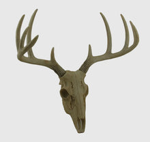 Load image into Gallery viewer, Lil Bucky Deer Wall Decor

