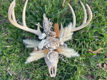 Load image into Gallery viewer, Floral Wood Buckhorn Skull
