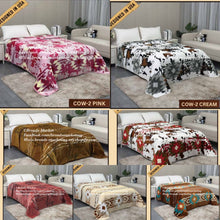 Load image into Gallery viewer, Limited Supply Super Plush Aztec Blankets
