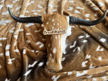 Load image into Gallery viewer, Authentic Axis Deer Hide Skull Wall Decor
