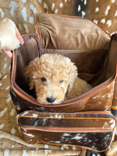 Load image into Gallery viewer, Cowhide &amp; Leather Jess Backpacks
