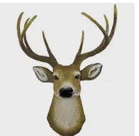 The Duke Buck Wall Decor