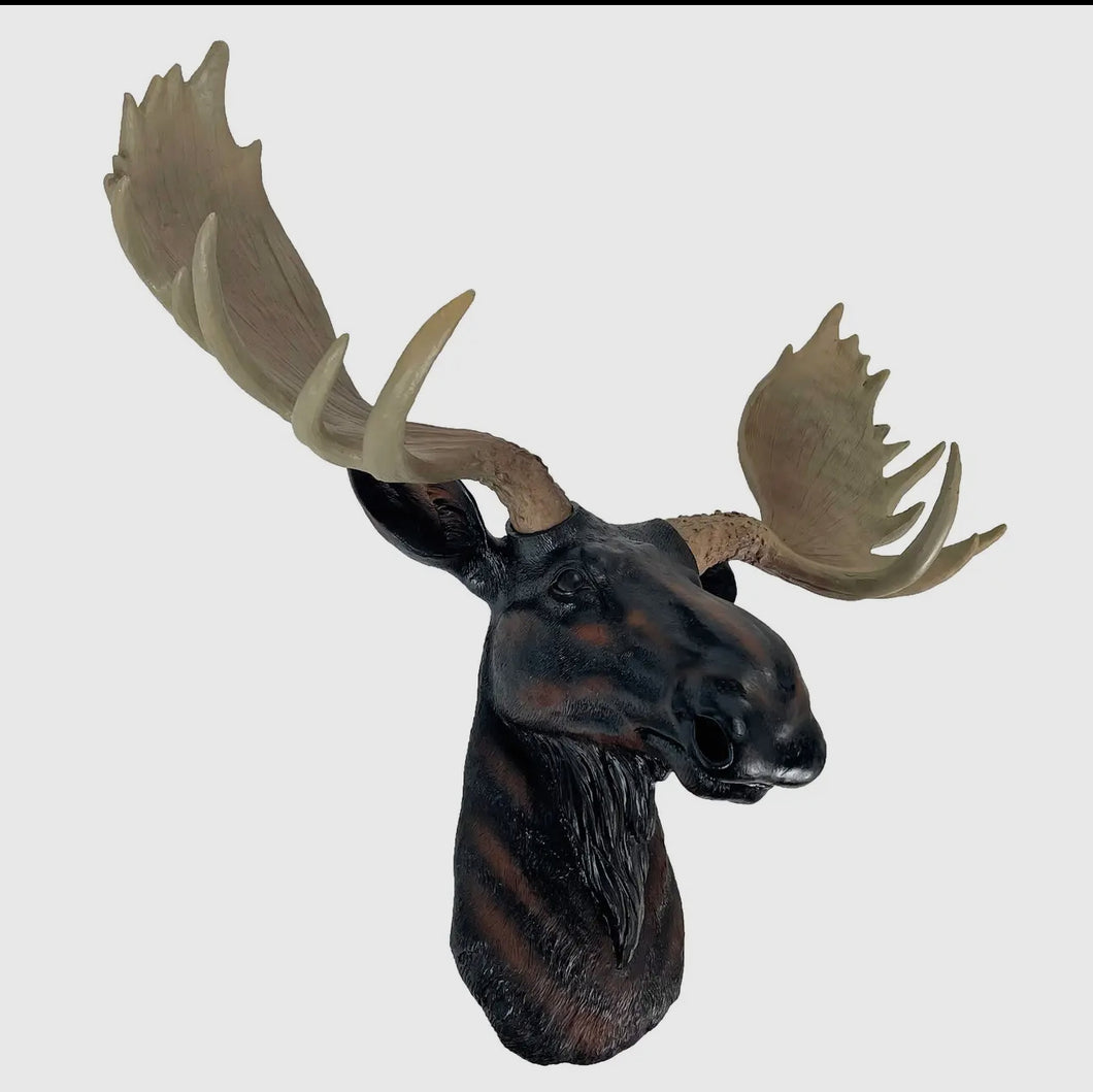 Moose Wall Decor Bust