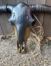 Load image into Gallery viewer, Maximus Black &amp; Gold Cowskull
