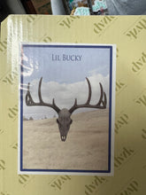 Load image into Gallery viewer, Lil Bucky Deer Wall Decor
