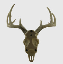 Load image into Gallery viewer, Lil Bucky Deer Wall Decor
