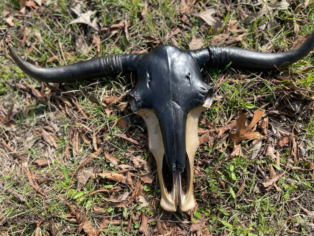 Maximus 2.0 Cowskull