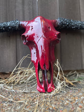 Load image into Gallery viewer, Crimson Stoned Horn Cowskull
