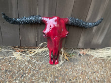 Load image into Gallery viewer, Crimson Stoned Horn Cowskull
