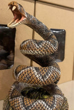 Load image into Gallery viewer, Don’t Tread on Me Rattlesnake
