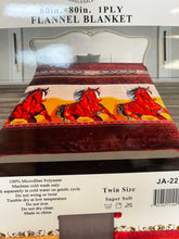 Load image into Gallery viewer, Twin Plush Throw Blankets
