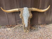 Load image into Gallery viewer, Diana Gold Custom Cowskull
