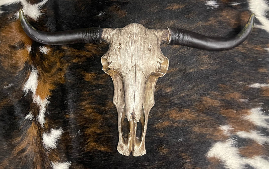 Driftwood Cowskull