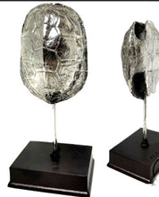 Load image into Gallery viewer, Turtle Shell Silver Statue
