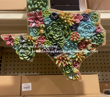 Load image into Gallery viewer, Texas Succulent Cactus Wall Decor
