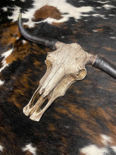 Load image into Gallery viewer, Driftwood Cowskull
