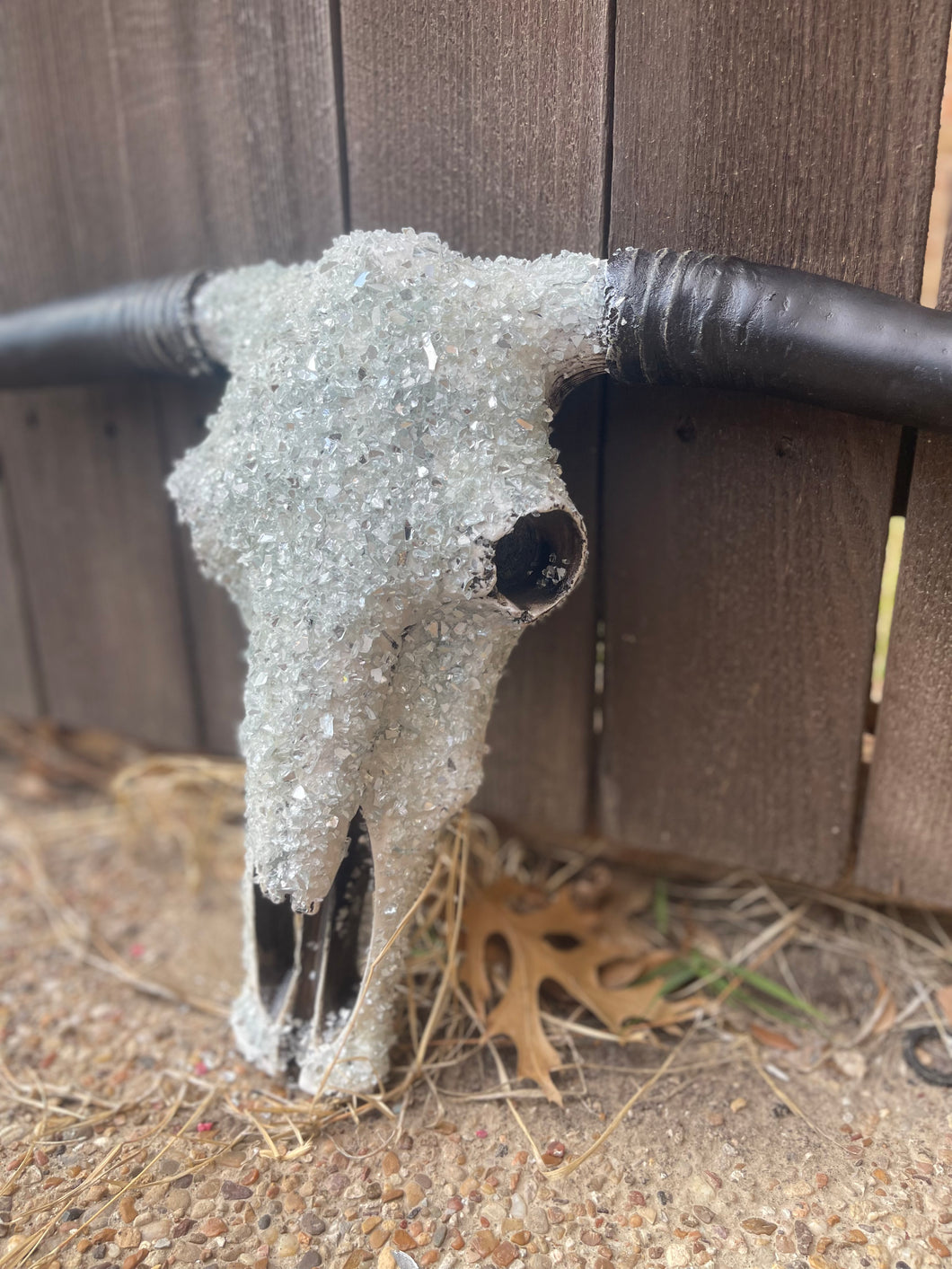 Full Stone Solid Color Cowskull